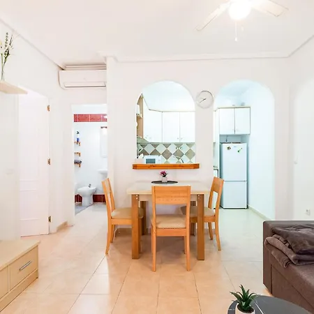 Apartment Lovely In With Kitchen