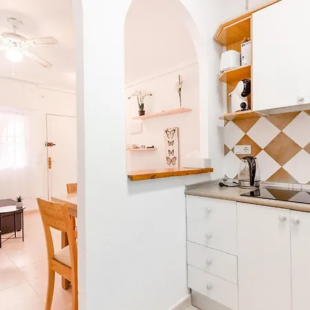 Apartment Lovely In With Kitchen *