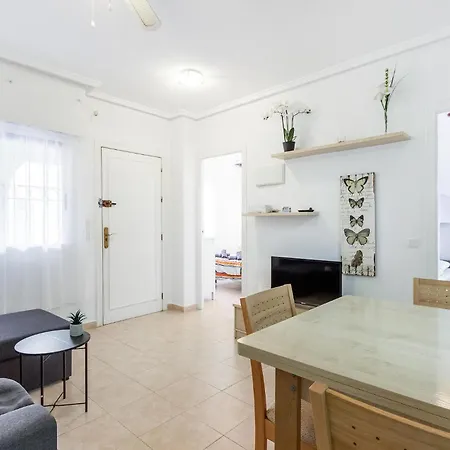 Apartment Lovely In With Kitchen