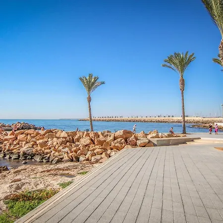 Lovely In With Kitchen Apartment Torrevieja